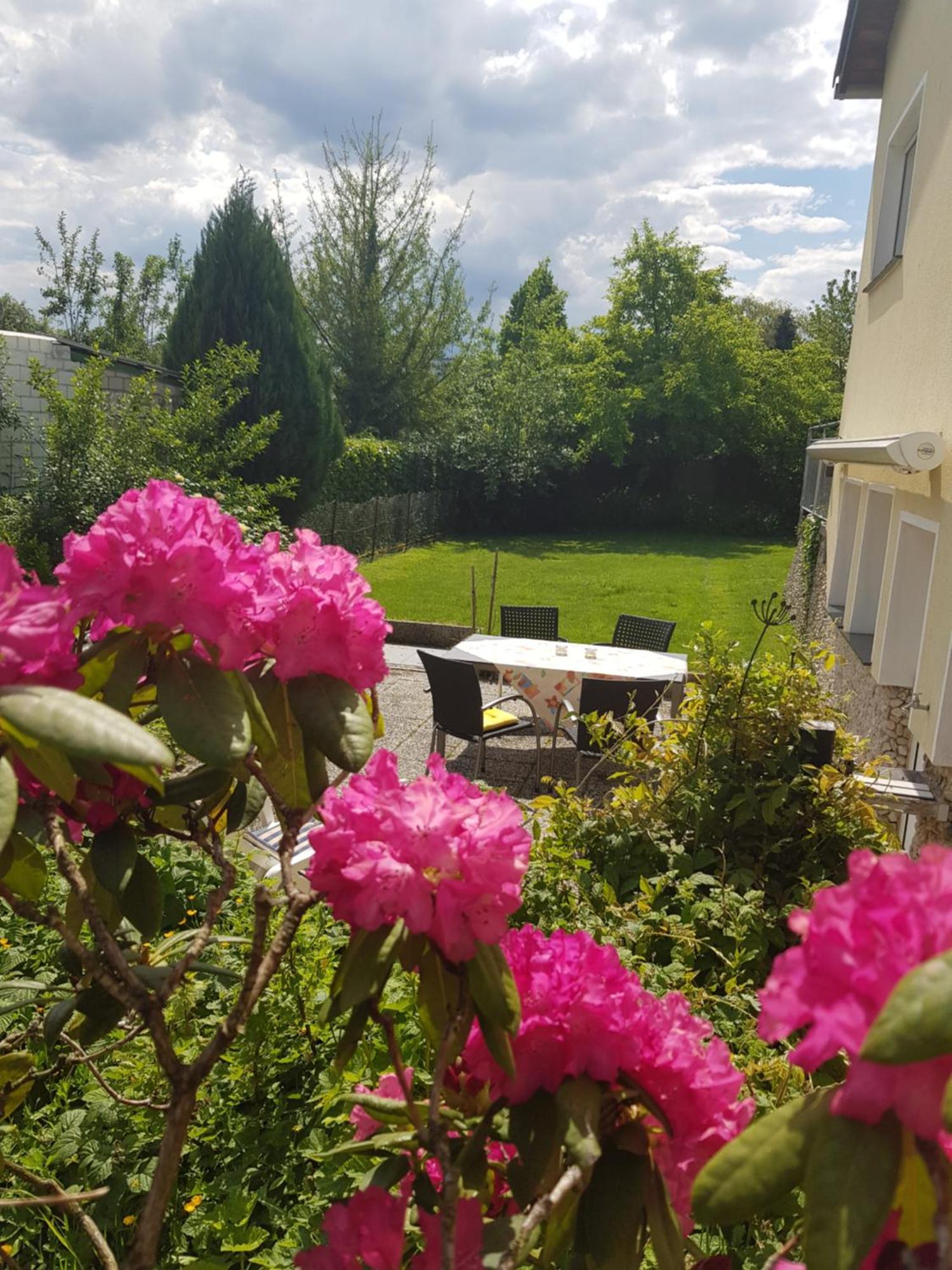 Ferienwohnung Im Rurtal Kreuzau Exteriér fotografie
